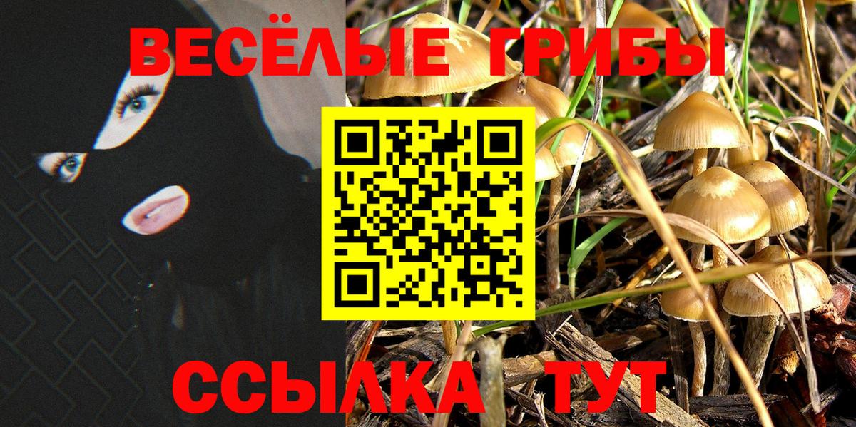 Псилоцибиновые грибы Magic Shrooms Алапаевск